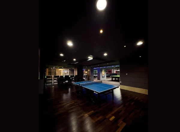 Table Tennis Dark Mode